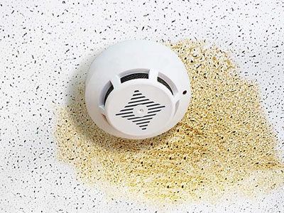 Reisch Roofing and Construction Images