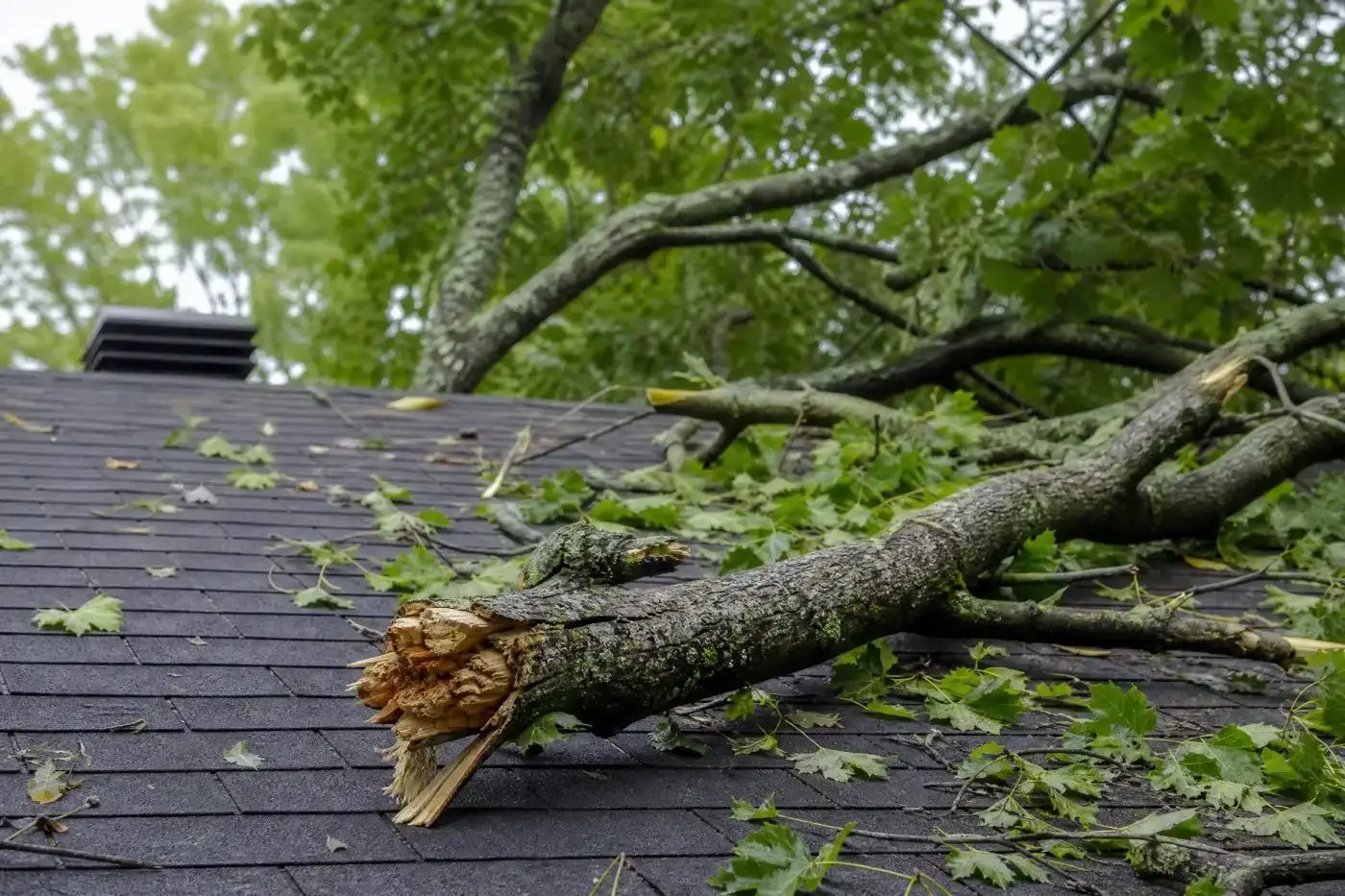 Meticulous Roof Repair In Wyckoff, NJ | Reisch Roofing